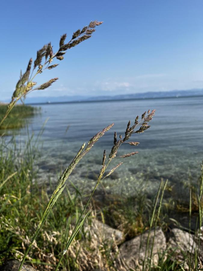 Kling Am See FDH المظهر الخارجي الصورة