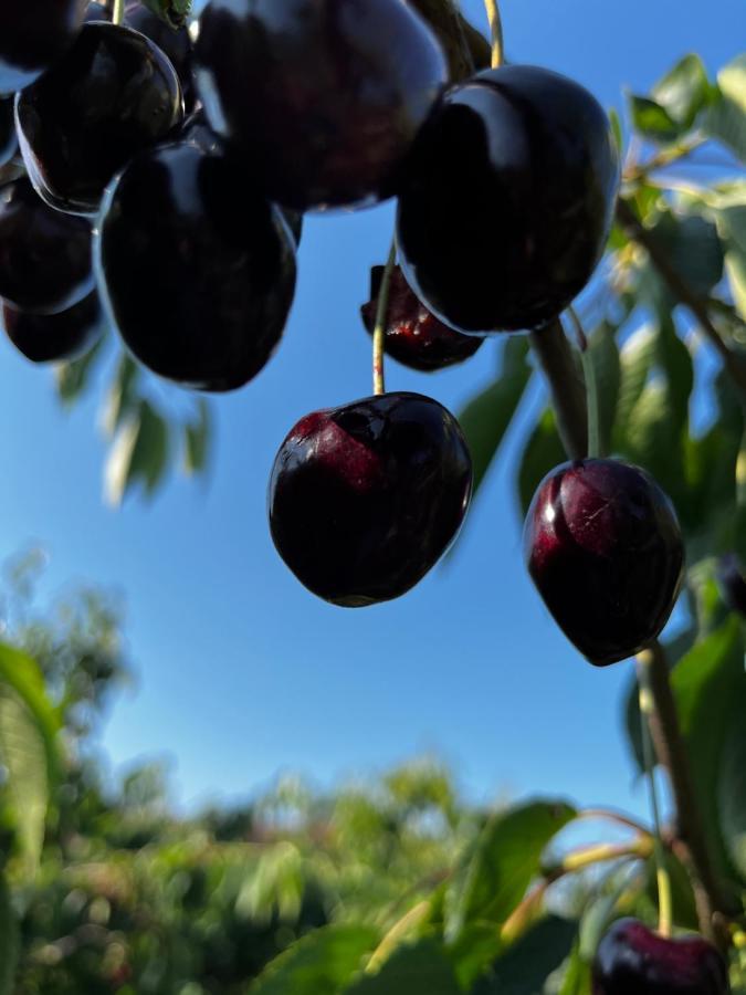 Kling Am See FDH المظهر الخارجي الصورة